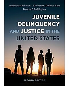 Juvenile Delinquency and Justice in the United States 9781531031633