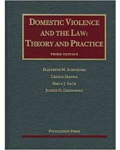 Domestic Violence and the Law: Theory and Practice (University Casebook Series) (Used) 9781599419299