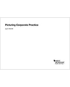 Picturing Corporate Practice 9781634604642